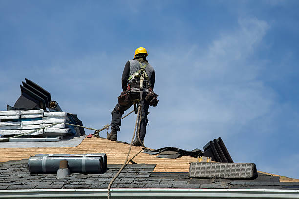 Professional Gutter Installation technician working in Brandon, FL